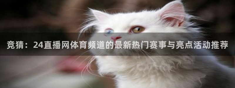 360免费直播超清 看球吧