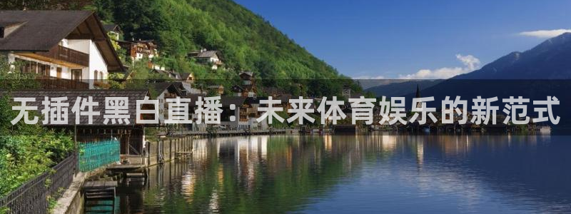 雨燕360直播免费观看nba：无插件黑白直播：未来体育娱乐的新范式
