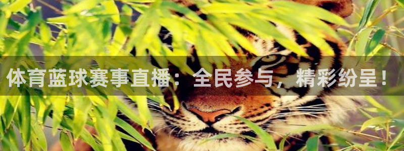 360足球直播吧直播间：体育蓝球赛事直播：全民参与，精彩纷呈！