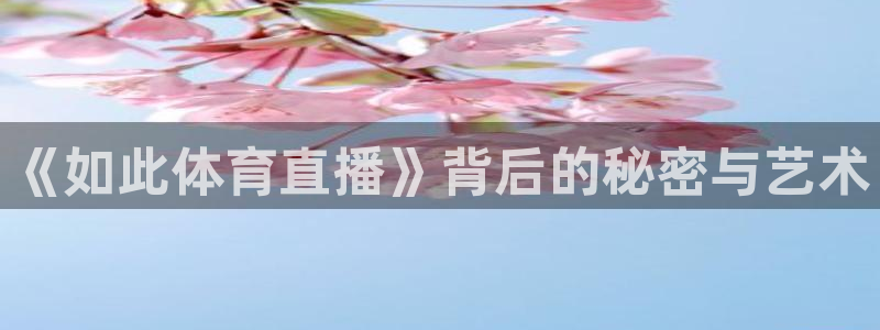360足球直播平台：《如此体育直播》背后的秘密与艺术