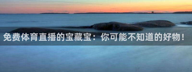 360体育直播网球