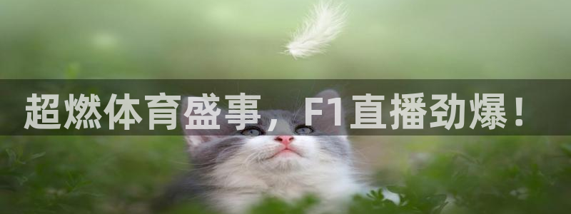 360直播足球直播雨燕足球直播：超燃体育盛事，F1直播劲爆！